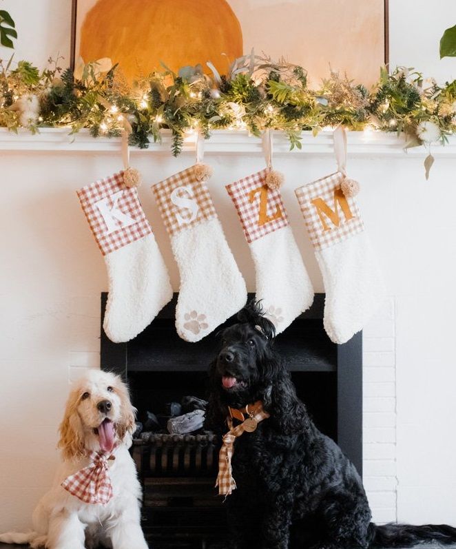 Personalized DIY dog Christmas stockings hanging on a mantle above two dogs wearing festive gingham scarves.