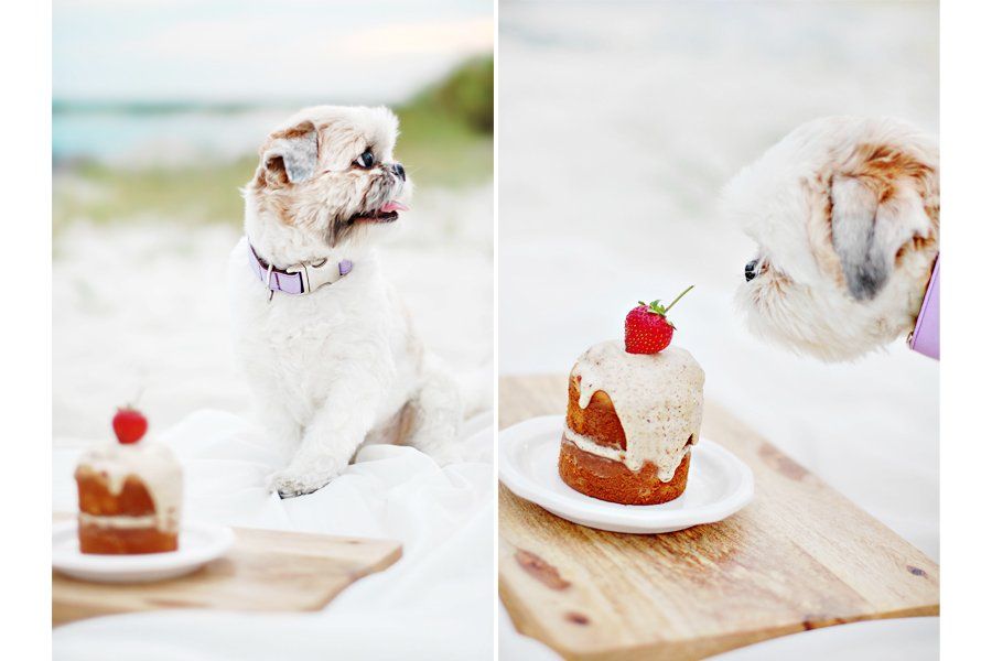 The BEST Dog Birthday Cake Recipe | The best Dog Birthday Cake Recipe of all time. Super easy to make, healthy, dog-safe ingredients and 100% tasty! Grab the FREE recipe here.