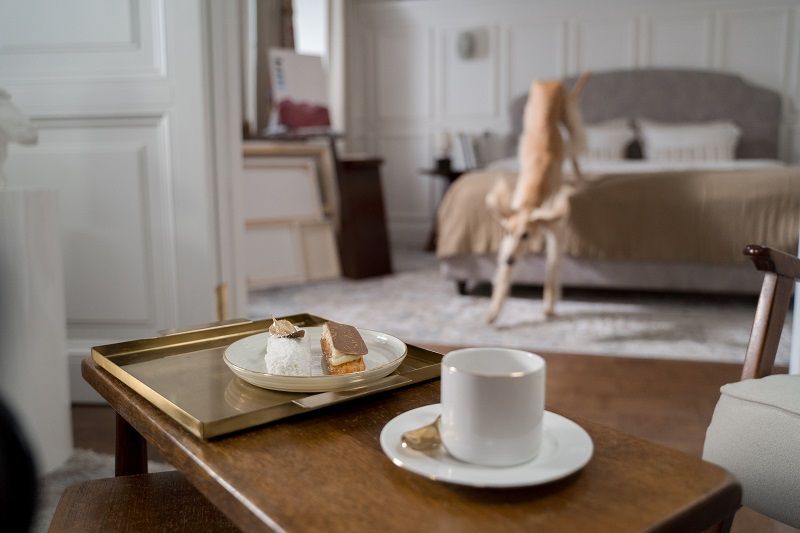 Dog standing on a bed in a hotel room, with a tray of tea and pastries on a nearby table.