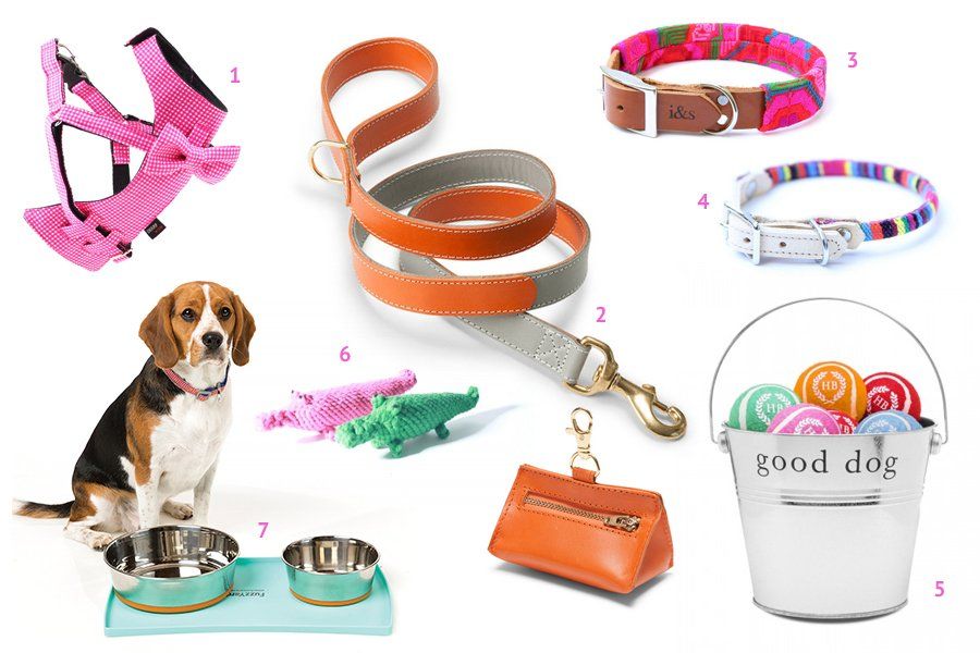 Chic dog accessories featuring an orange leather lead, matching poop bag holder, and colorful knit toys.