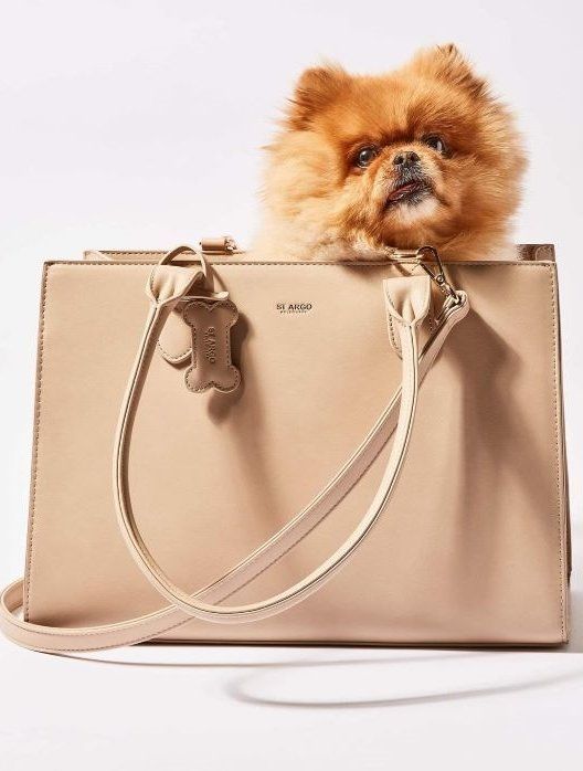 Designer dog carrier - ST ARGO vegan leather dog accessories