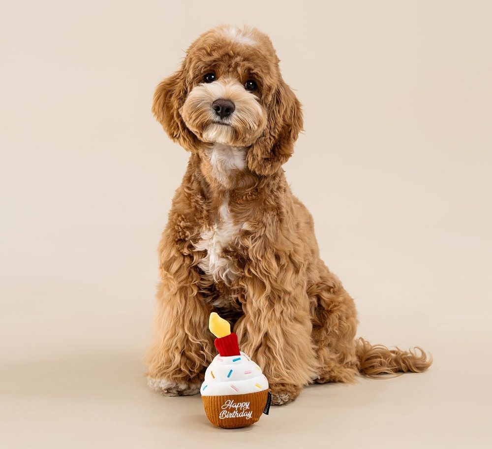 Gifts for Dogs and Dog Lovers