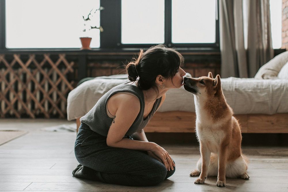 Woman kneeling on the floor kissing her Shiba Inu's nose, illustrating dog love for inspirational dog captions.