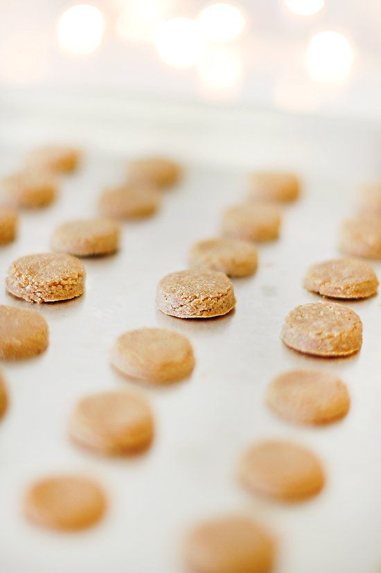 Small round dog treats arranged in neat rows on a metal baking sheet.