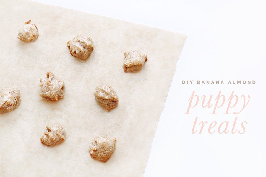Banana-Almond Puppy Treats Recipe | The perfect treat for new puppies! We've created a soft, yummy, and super healthy puppy treats recipe that we hope your puppy (and even full grown doggies) will love as much as ours.