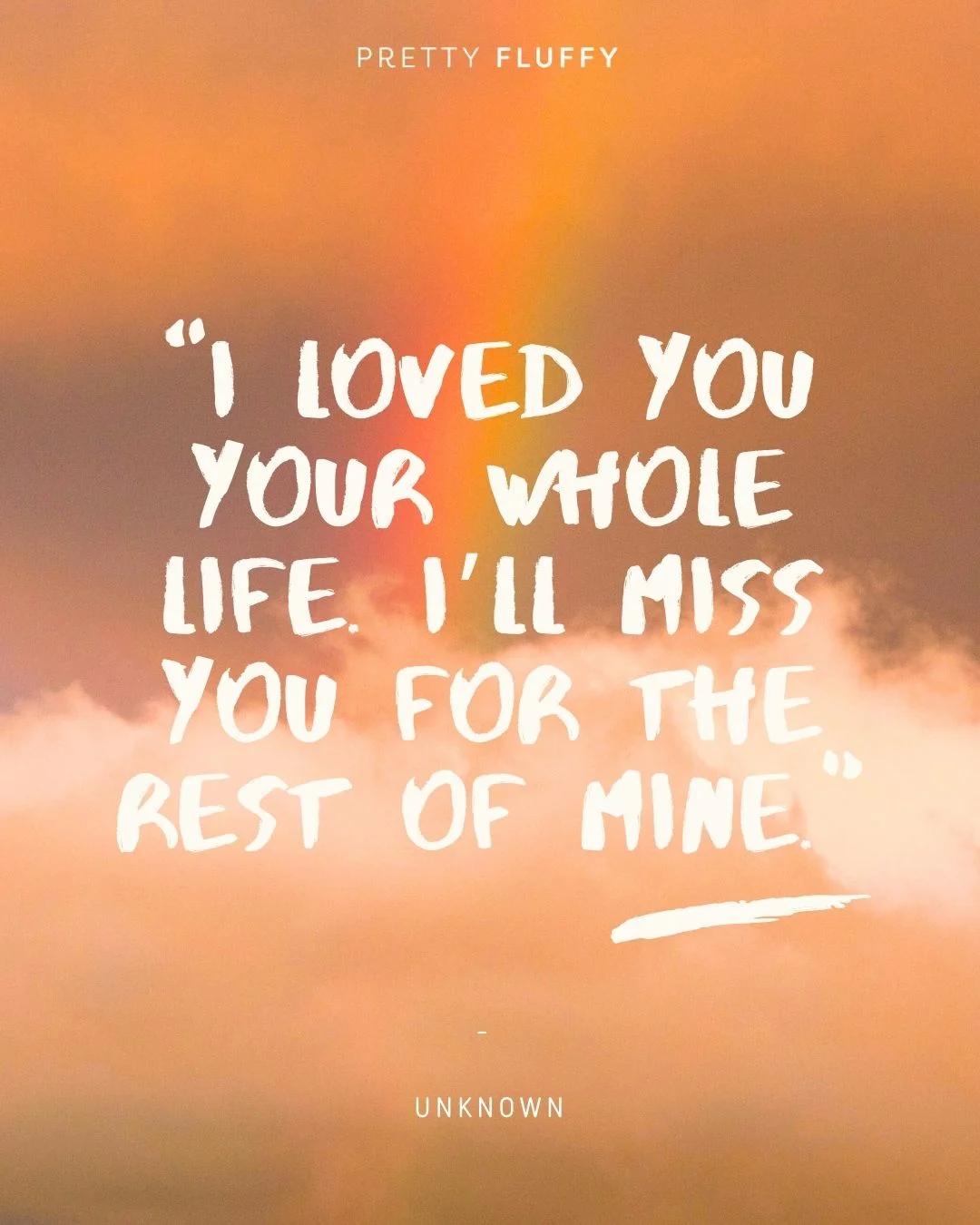 A pet memorial quote overlaid on a warm, cloudy sky with a rainbow.