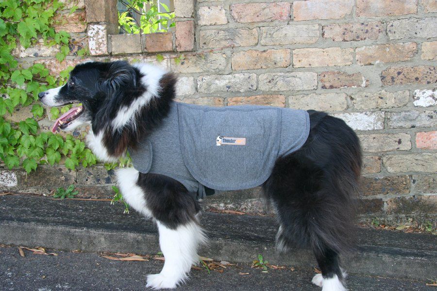 Thundershirt - Reduces Anxiety in Dogs