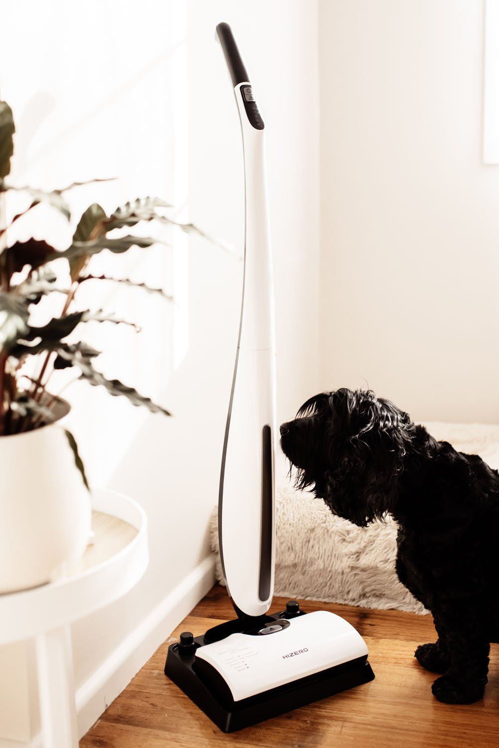 HIZERO Bionic Hard Floor Cleaner Review for Dog Owners