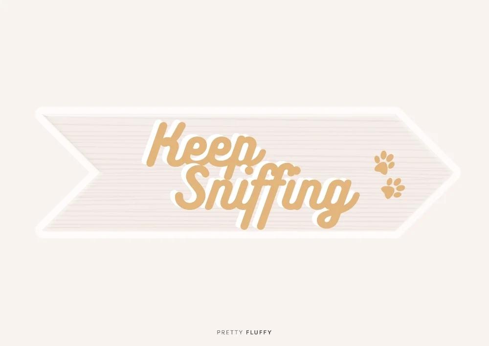 Printable arrow sign reading Keep Sniffing with paw prints for a DIY dog Easter egg hunt.