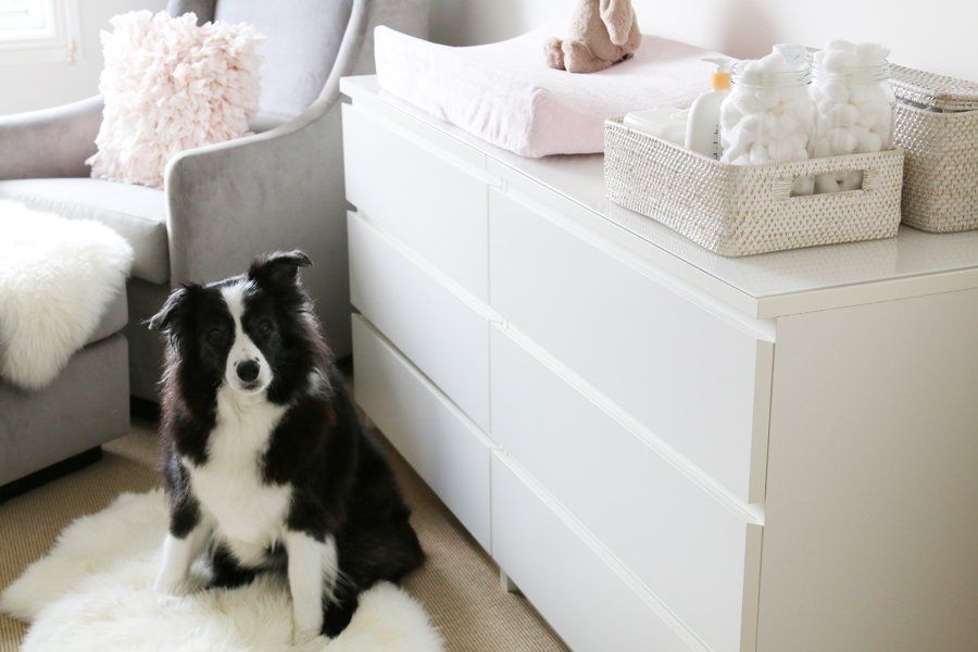 A Pet Friendly Nursery | Baby Girl Nursery | www.prettyfluffy.com