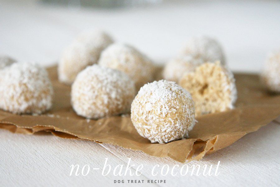 No bake coconut dog treats