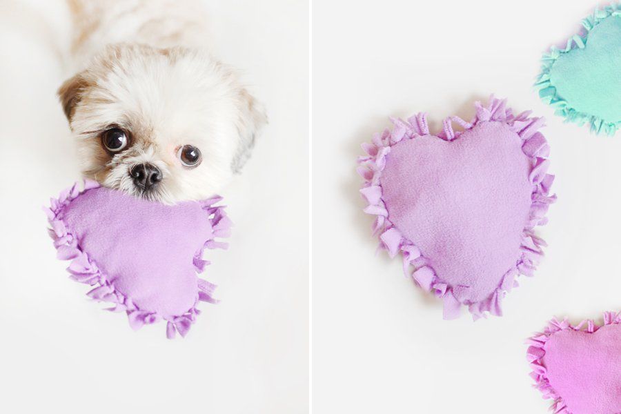 DIY: No Sew Heart Dog Toy