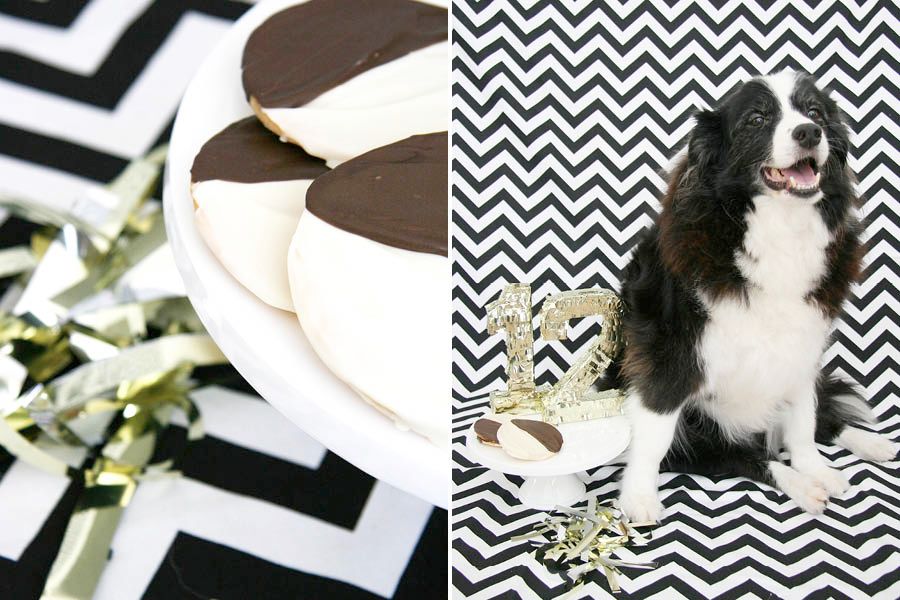 The iconic black and white cookie in dog form! Grab our FREE black and white cookie dog treat recipe here - it's super yummy, quick and easy to make. | Black & White Cookie Dog Treat Recipe | Pretty Fluffy