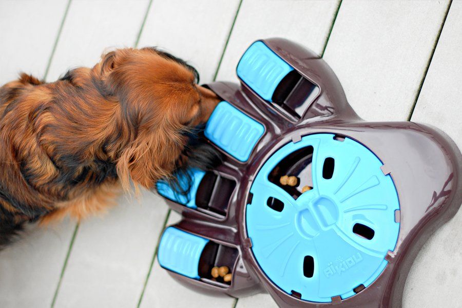 Long-haired dog using a paw-shaped AiKiou interactive dog feeder and slow feeder puzzle toy to find kibble.