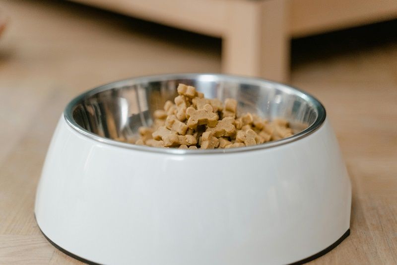 A white and stainless steel bowl filled with dry, bone-shaped dog food sits on a wooden surface.
