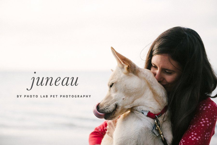 Juneau the Husky by Photo Lab Pet Photography | Pretty Fluffy