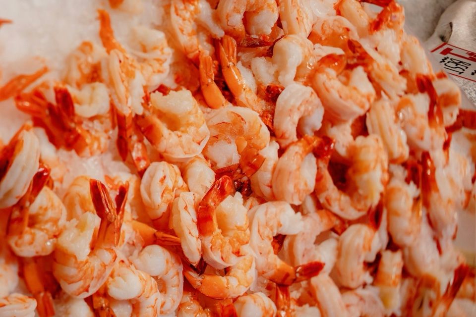 Can Dogs Eat Prawns? Risks & Benefits