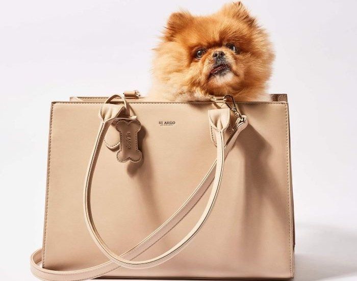 Designer dog carrier - ST ARGO vegan leather dog accessories