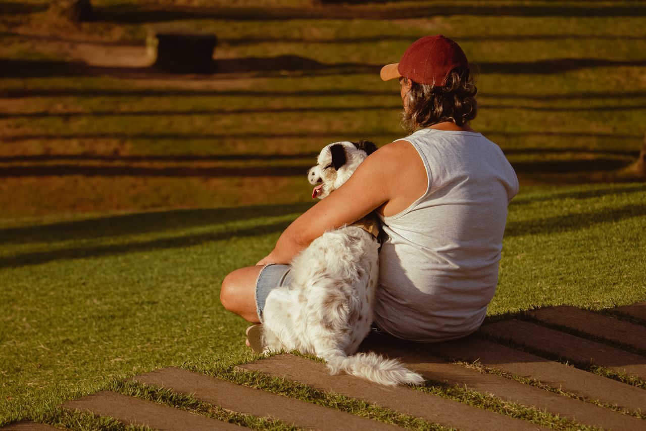 Person in a red cap sitting on grass and cuddling a small white dog beside a wooden fence.