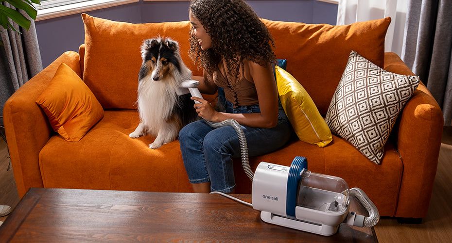 Review: oneisall Pet Grooming Kit & Vacuum