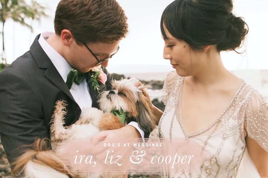 Dogs at weddings: Bride Liz and groom Ira with their dog Cooper, who is wearing a matching green bowtie.