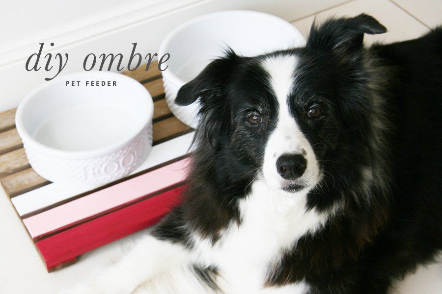 Ombre DIY Dog Feeder | Upcycled Pet Food Mat | Pretty Fluffy