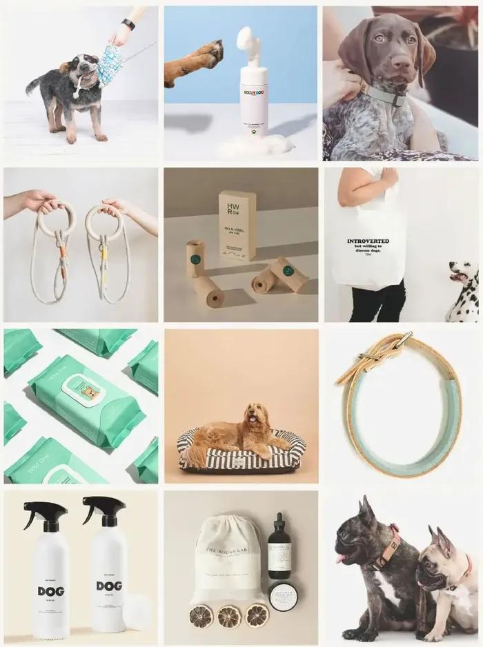 Eco-Friendly-Pet-Products-for-World-Environment-Day