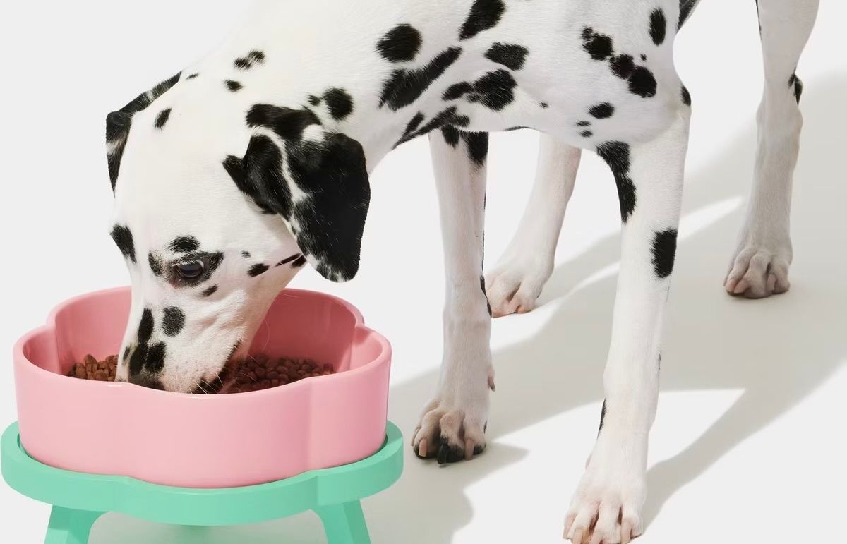 vetreska flora dog bowl