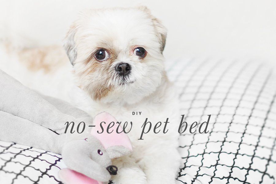 DIY: No Sew Pet Bed