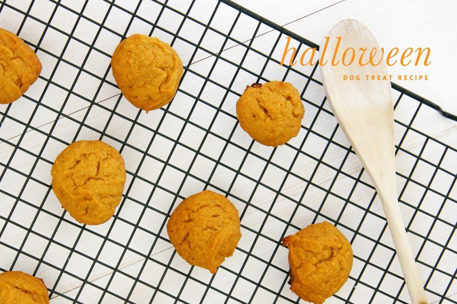 Homemade pumpkin dog treats cooling on a wire rack for a DIY Halloween dog treat recipe.