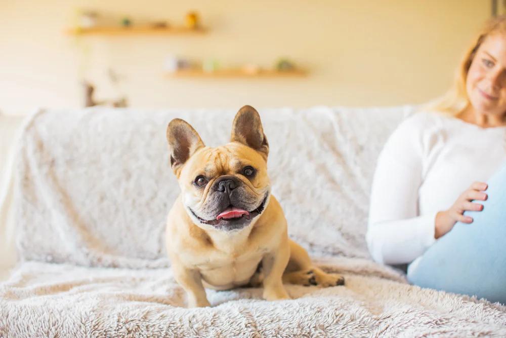 dog mom looking at dog