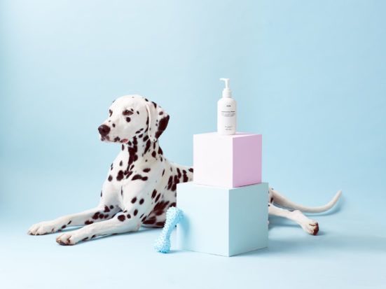 Mr PAW Dog Shampoo - All Natural, Vegan Conditioning Shampoo for Dogs _ Pretty Fluffy