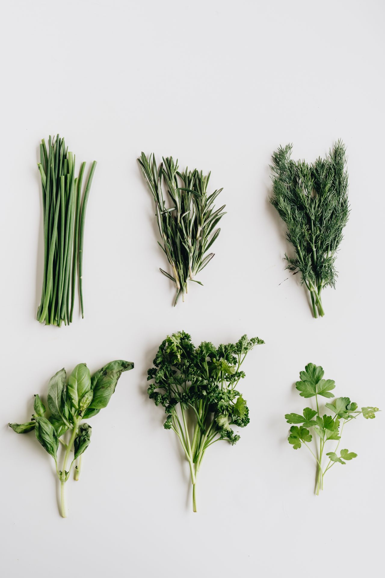 Assorted fresh green herbs neatly arranged on a white background.