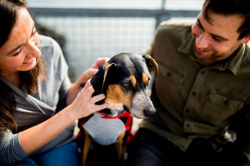 A smiling couple sits outdoors and pets their dog wearing a red and grey shirt.