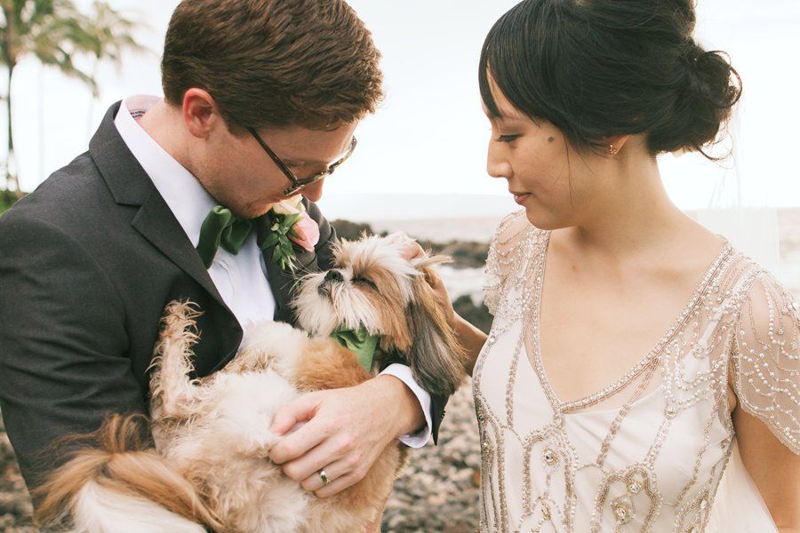 Bride and groom hold their dog in a bow tie at a beach wedding, showing pet-friendly wedding style and photography.