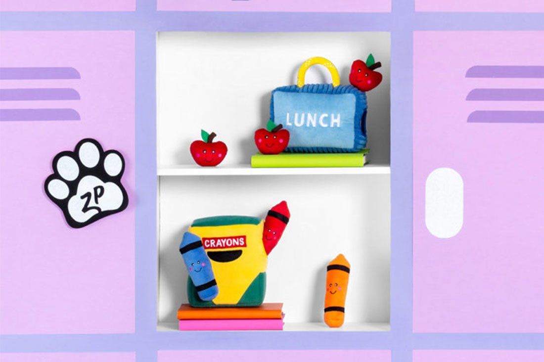 Back to school dog toys and accessories - our favourite picks!
