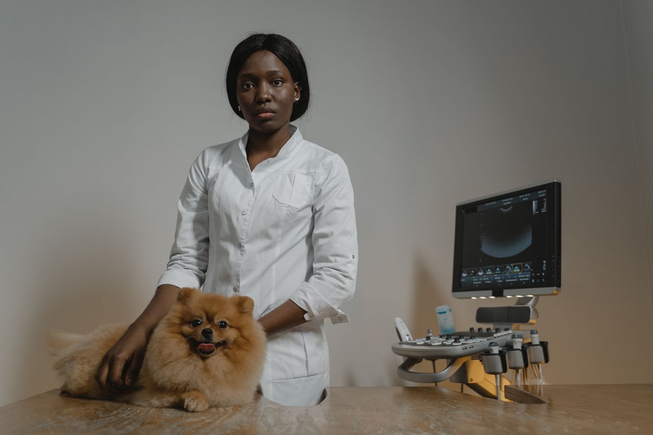 A veterinarian stands beside a fluffy Pomeranian on an exam table next to an ultrasound machine.