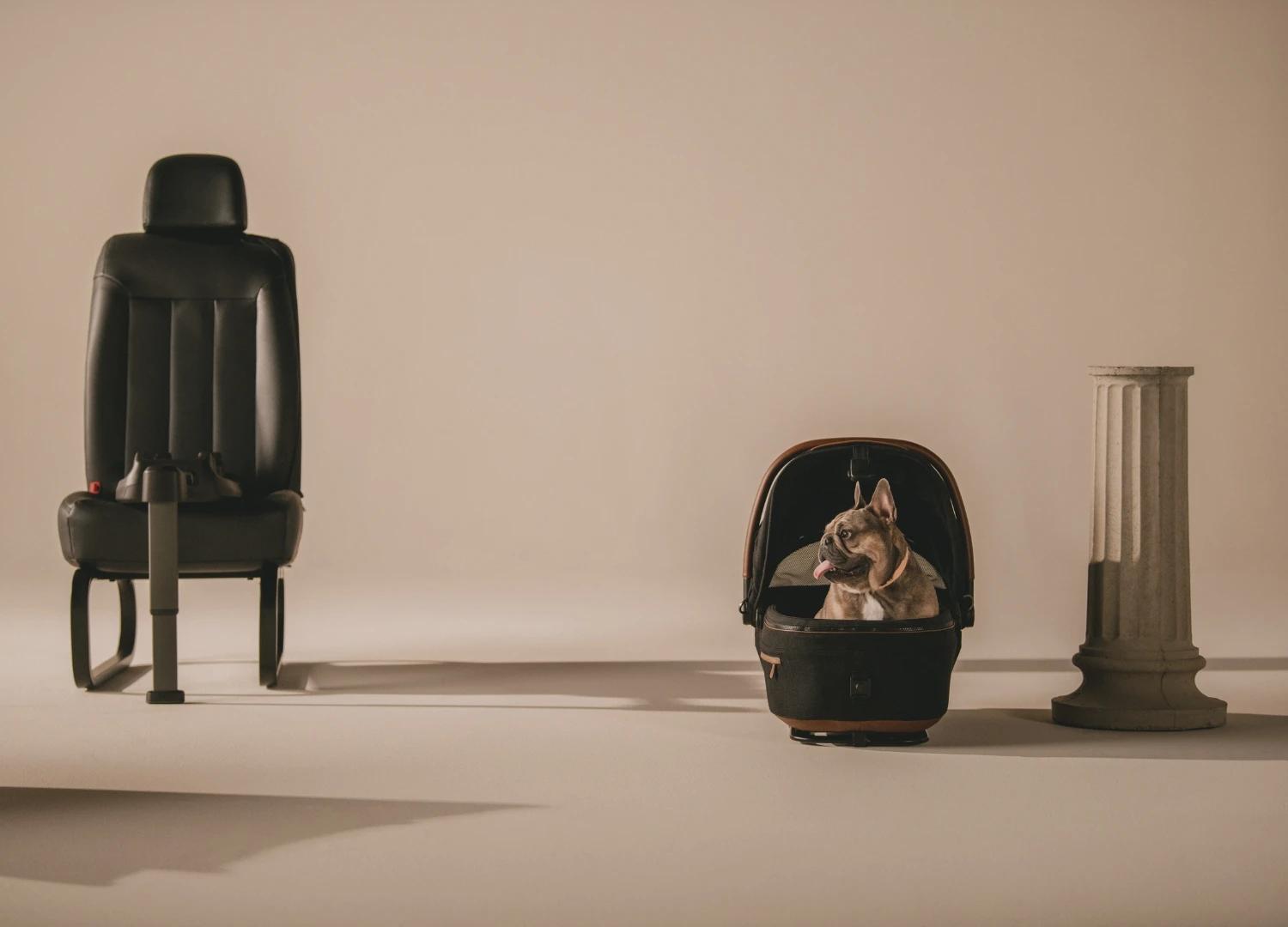 Luxury pet car seat carrier Australia by Tavo Pets