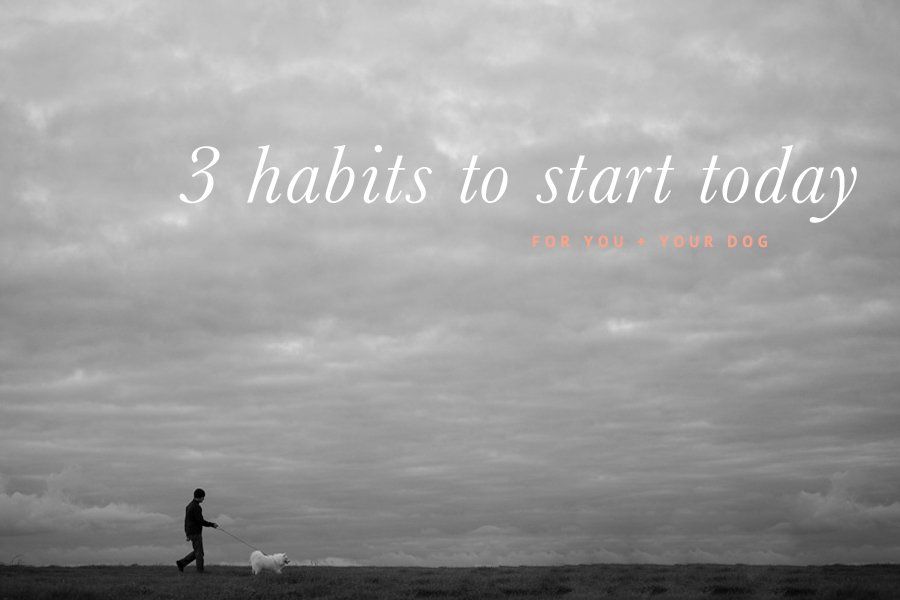 3 Healthy Habits for YOU + YOUR DOG (C) Photo by Akemi Photography