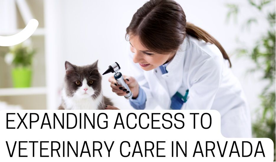 5 Top Veterinary Care Providers In Arvada: A Vet Checklist Included