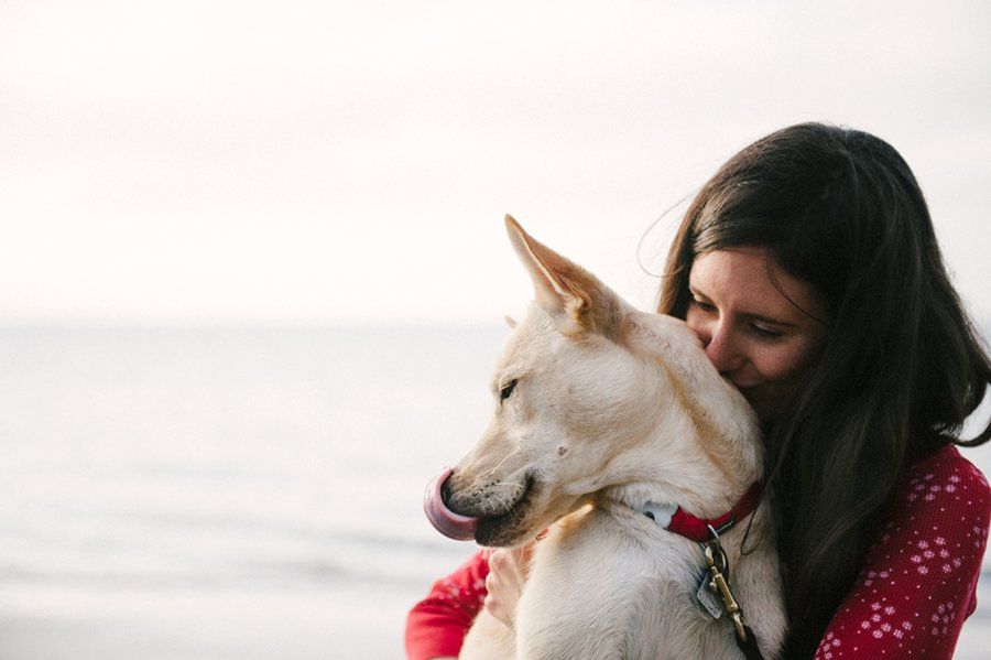 Juneau the Husky by Photo Lab Pet Photography | Pretty Fluffy