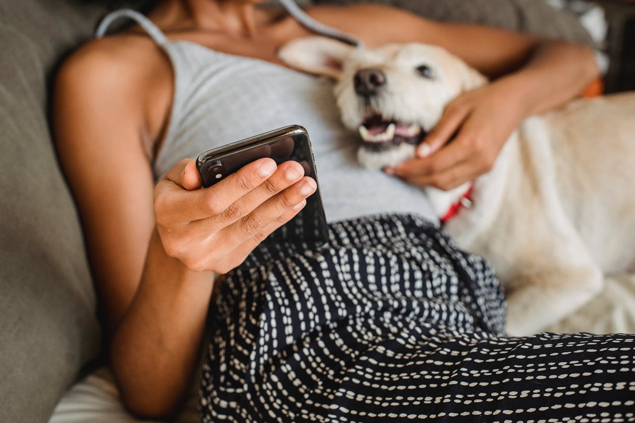 The 7 Best Online Vet Chat Services for Fast, Reliable Pet Advice in 2026