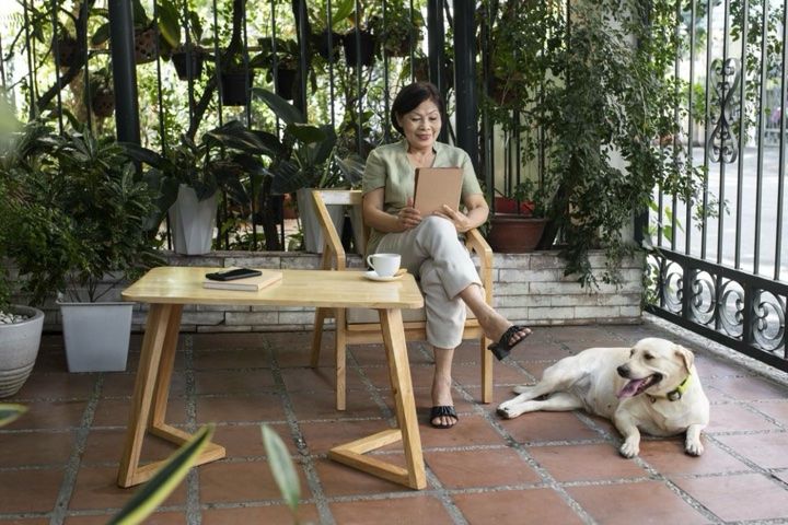Pet Friendly Artificial Plants for Your Garden That Are Safe for Pets