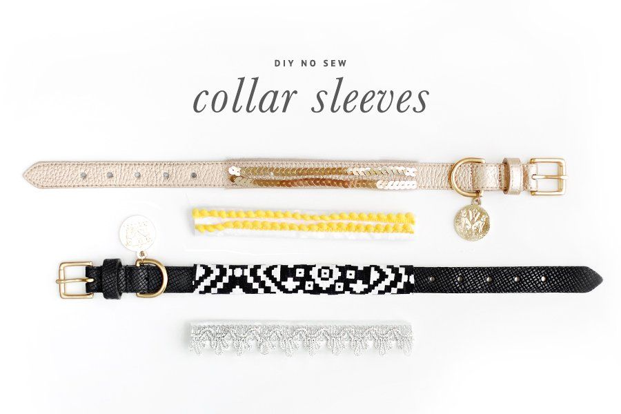 DIY no sew dog collar sleeves in sequin, geometric, pom-pom, and lace styles shown on gold and black collars.