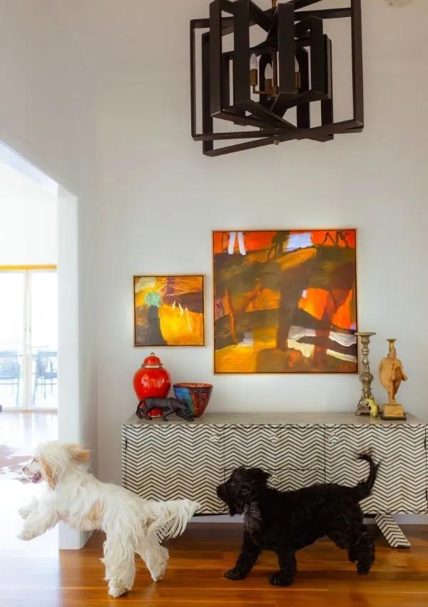 Two happy dogs playing inside a stylish room at a pet-friendly travel accommodation.