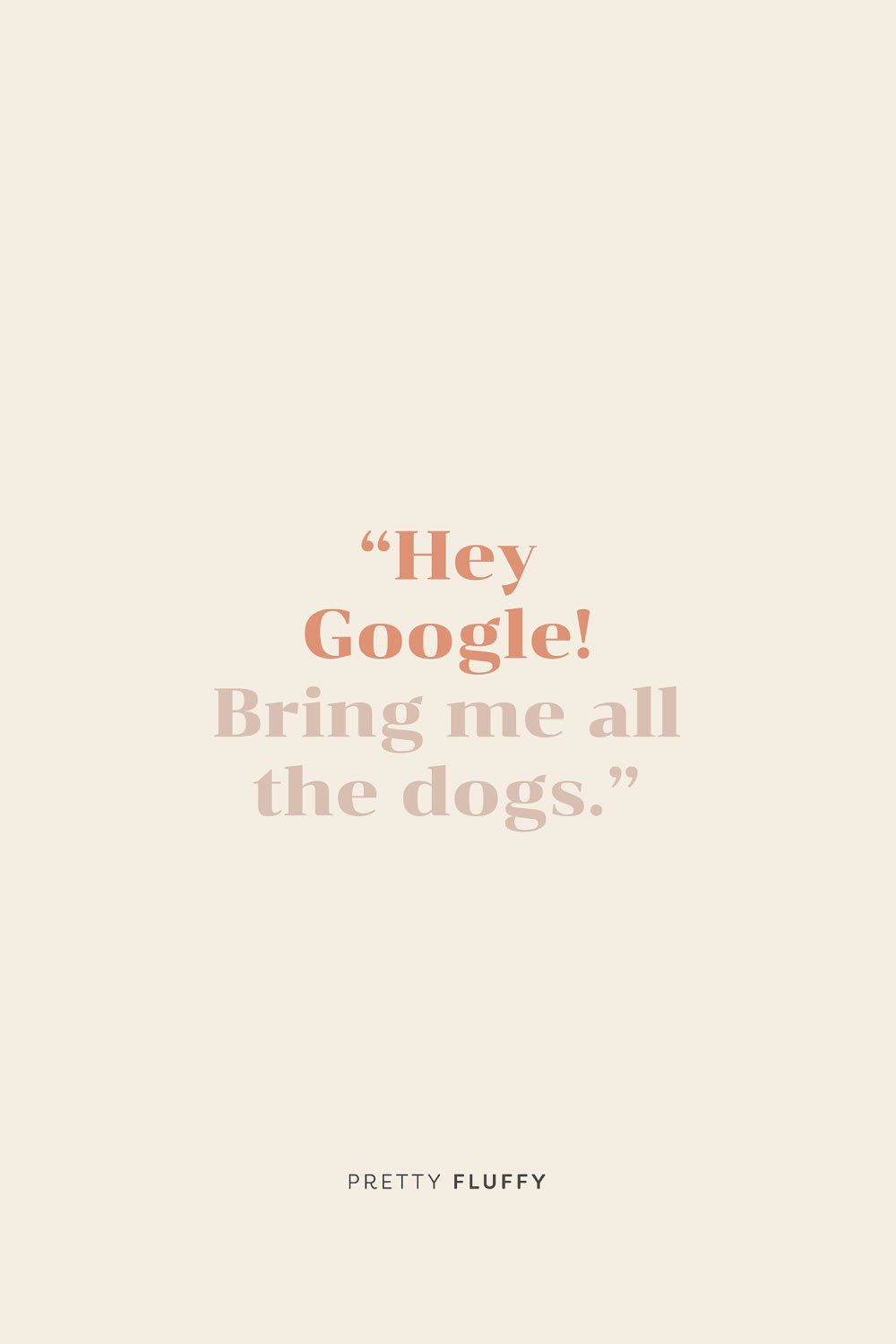 'Hey-Google!-Bring-me-all-the-dogs.'-Free-Screensaver