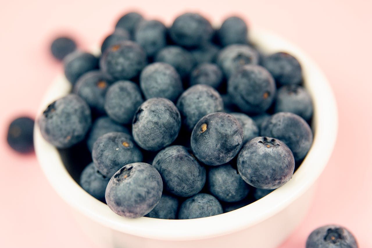 Can Dogs Eat Blueberries?