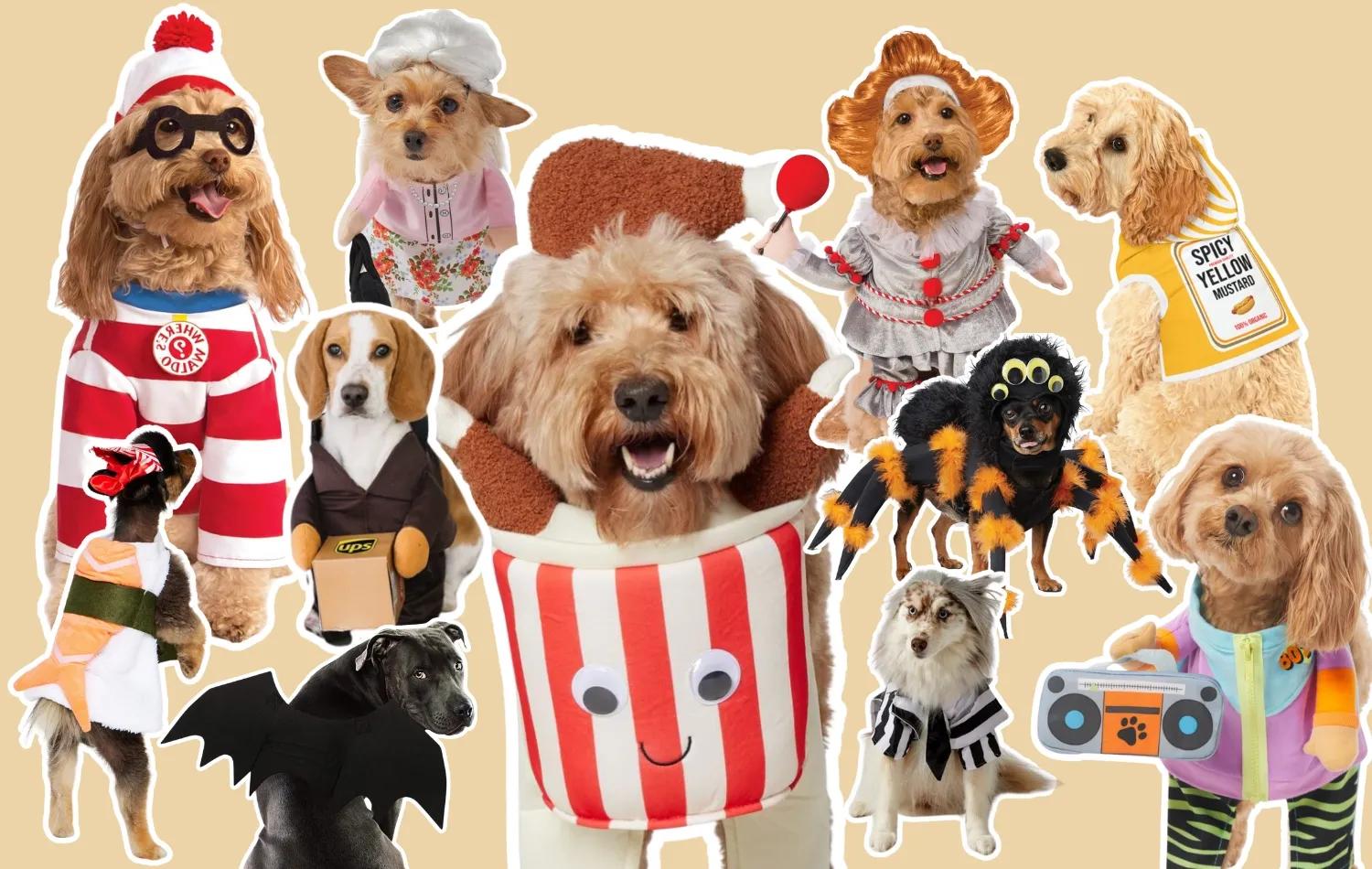 Collage of creative dog Halloween costumes including Waldo, a UPS driver, spider, bat wings, and bucket of chicken.