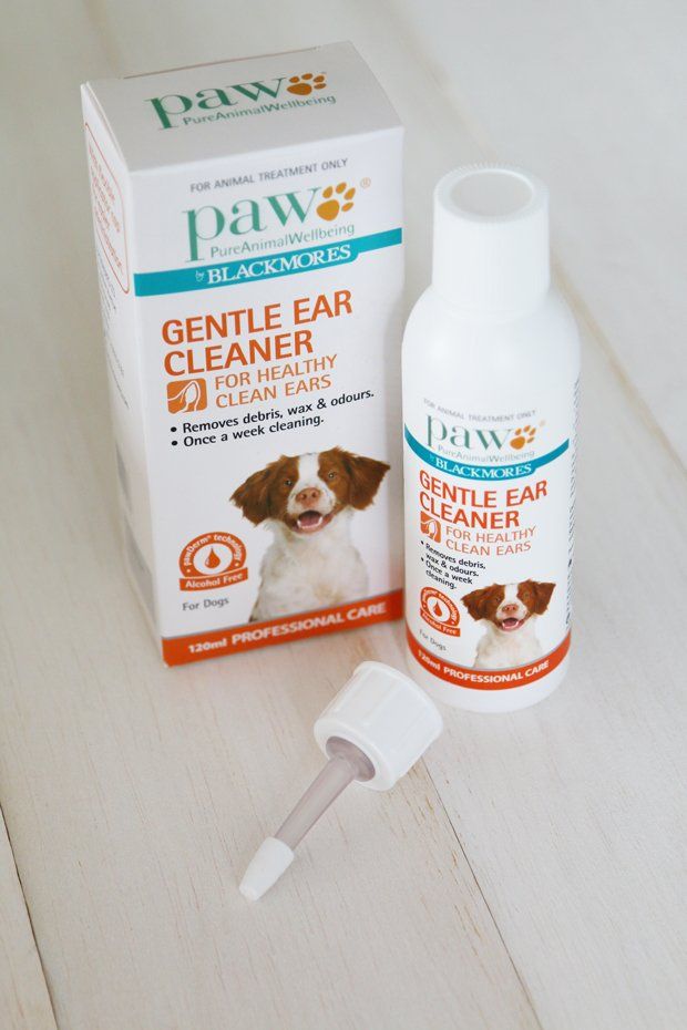 Review: Blackmores PAW Gentle Ear Cleaner www.prettyfluffy.com