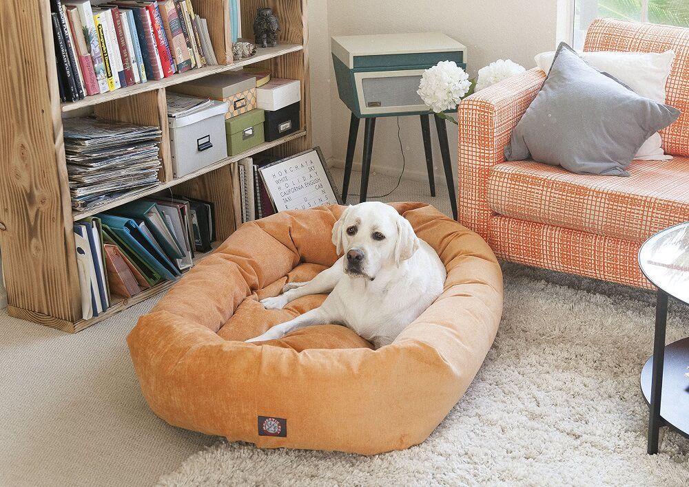 A large white dog lounging in a plush orange bolster dog bed in a modern living room.